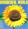CD VARIOUS - Wonderful World DINCD89 Dino Entertainm 1994 UK Rock Used