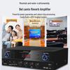 SANSUI PK06 Professional Home KTV Karaoke Audio System CN plug (adapter included)