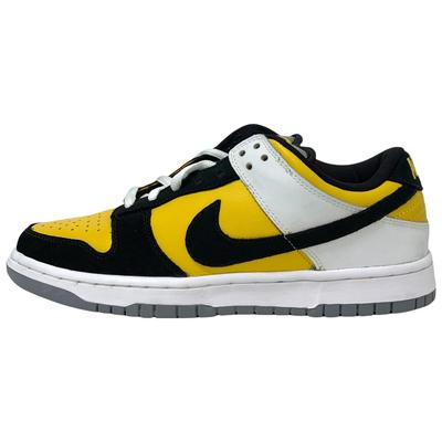 Sb Dunk Low Bic 304292-701