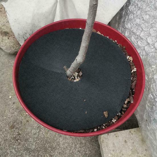 12 шт. разлагаемая круглая мульча для деревьев, защитный коврик от травы, нетканый тканевый чехол, многоразовый барьерный коврик для защиты корней и борьбы с сорняками