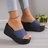 Fashion Women Platform Beach Slippers High Heels Wedges Sandals Summer Shoes 2024 New Women Shoes Thick Slides Sexy Pumps Fad Flip Flops