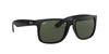 Ray-Ban JUSTIN Sunglasses Full Fit Model RB4165F 601/71 Black with Dark Green Lenses