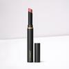 Помад-стик Powder Kiss Velvet Blur Slim Stick 2 г (16473117)