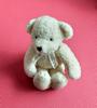 [USED] Teddy Bear Tomfoolery Bear