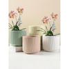 Simple Ceramic Flower Pot with Tray