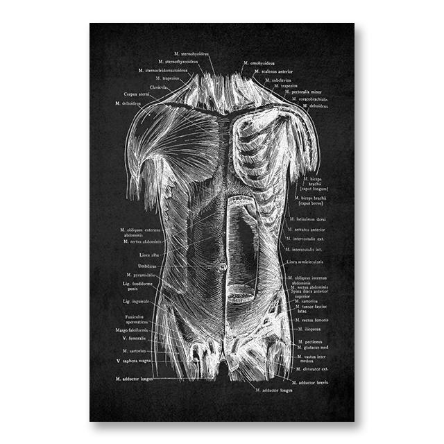 Анатомия человека, холст, картина, скелетное сердце, картина, украшение, плакат, подарок, спальня, настенные художественные принты, современный домашний декор, эстетический