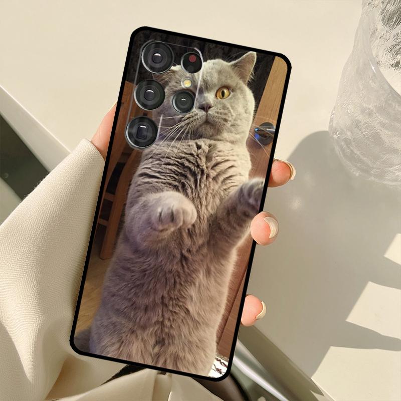 Чехол для телефона Samsung Galaxy с изображением британской короткошерстной кошки S24 Ultra S21 S22 S23 S25 Ultra S9 S10 Plus S20 FE S25 FE Задняя крышка