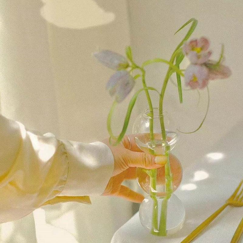 Ins Стеклянная ваза Цветочная композиция Гидропонные вазы Простые креативные стеклянные пузырьковые сферические вазы Домашнее искусство Декоративные украшения