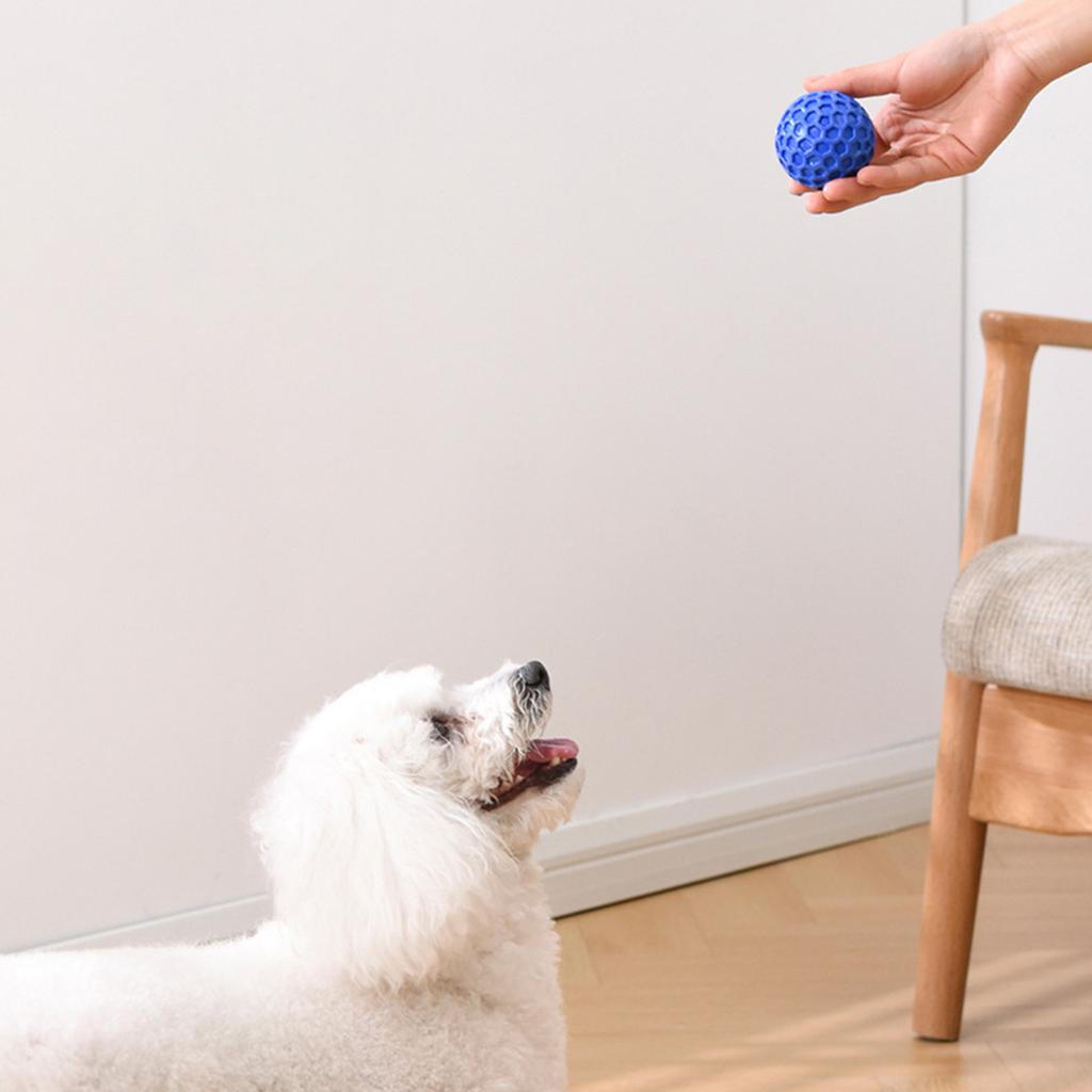 Squeaky Dog Toys For Aggressive Chewers, Indestructible Dog Balls For Aggressive Chewers, Squeaky Balls For Dogs,Interactive Dog Toys For Large Dogs