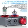 Nobsoud Douk Audio T4 PRO Mini 5654 Ламповый фонокорректор Домашний стерео аудио предусилитель Усилитель для наушников
