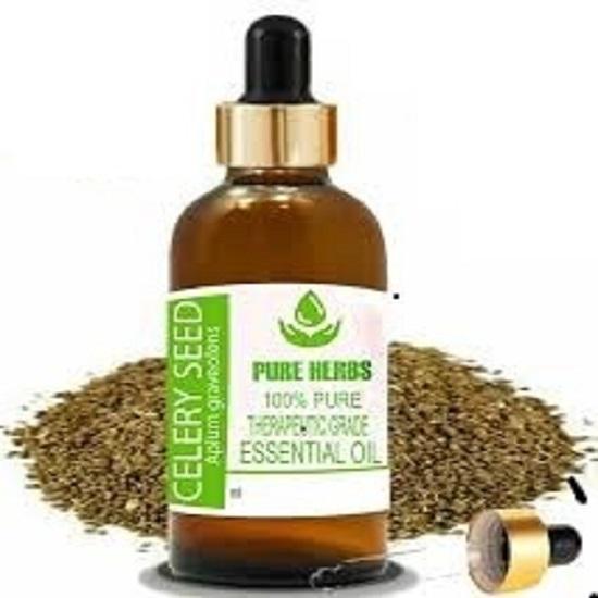 Pure Herbs Celery Seed (Apium graveolens) Pure & Natural Therapeutic Grade Essential Oil Glass
