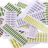 1Sheet Realistic Fly Tying Material Realistic Texture Insect Wings  Trout Lures