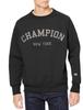 Champion Techweave Terry Crew Neck Size Long Odor UV Graphic Logo Print Sweatshirt, Men's, Black, M, C3-WG002, Sleeve, Antibacterial, Resistant,