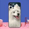 Чехол для телефона с японской собакой шпицем для iPhone Samsung Galaxy Redmi Xiaomi Oppo OnePlus Note SA 7 8 9 10 11 12 13 14 20 21 22 23 53 54 Pro Max Plus Ultra
