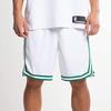 Nike NBA Boston Celtics Association Edition Swingman Dri-FIT Shorts White/Green Men Streetwear AJ5586-100