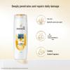 Pantene PRO-V Lotion Repair Anti-Dandruff Travel Shampoo