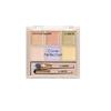 THESAEM Cover Perfection Concealer Palette 2 Colors