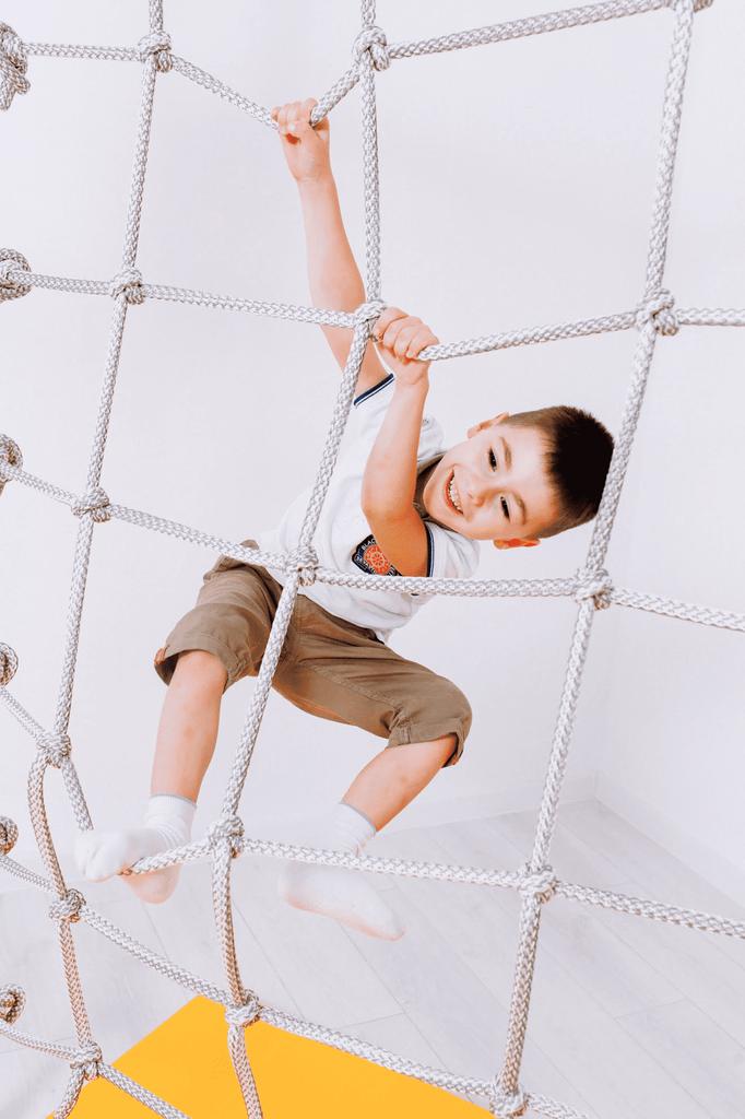 Гимнастическая лестница Pegas - Происхождение