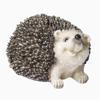 Simulation Of Wild Hedgehog Model Science And Education Desktop