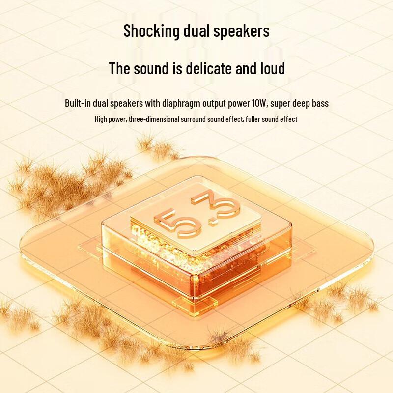 WOPOW AP08 Portable Wireless Bluetooth Karaoke Speaker