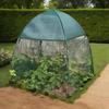 Tomato Greenhouse Small Grow Plant House Tent Vegetables Growth Cover Greenhouse Flower House Planting Insect-Proof Bird Cover