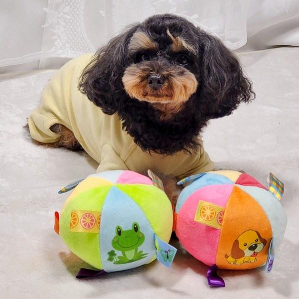 Игрушка для собак Petka, мини-мячик для буксира, игровой набор для игры в буксир, 2 предмета