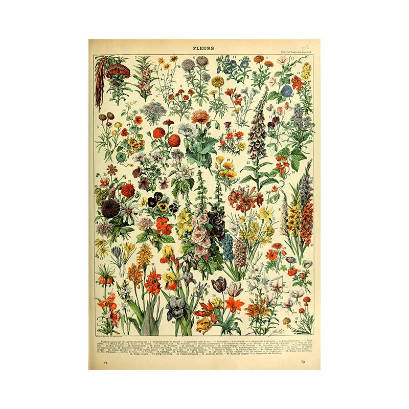 Винтажная ведьма Фрукты Овощи Холст Картина Ретро Цветы Грибы Печать Настенный декор Плакат Для кухни Домашний декор Без рамки