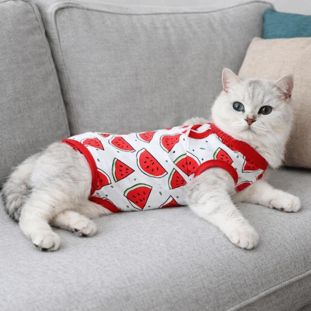 Fruit Printed Cat Recovery Clothing High Elasticity Breathable Cat Sterilization Suit Comfortable Soft Cat Jumpsuit Pet Care