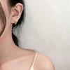 Новые серьги-кольца с буквой D из титановой стали и циркона, роскошные серьги для вечеринок для женщин, рождественские необычные модные универсальные серьги