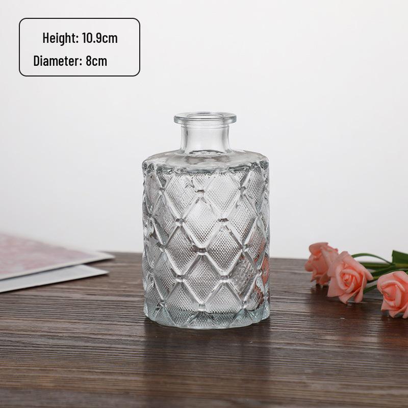 Small French Retro Glass Hydroponic Vase for Home Decor
