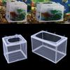 Fish Breeding Incubator Net Hanging Fish Hatchery Isolation Box For Aquarium