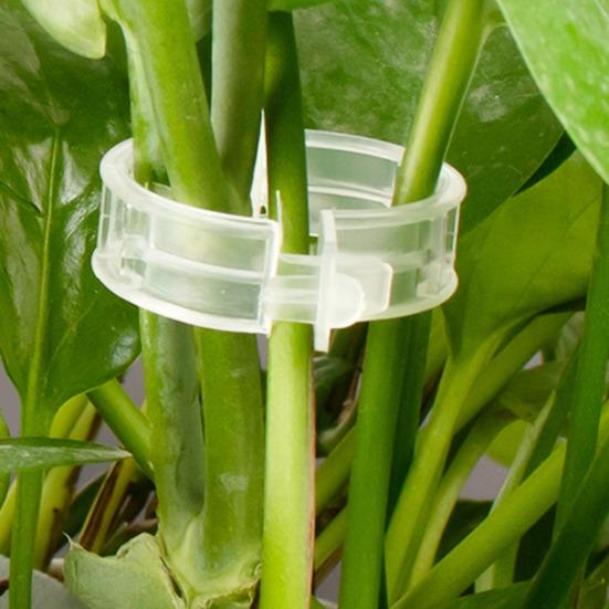 100/200/300 шт. зажимы для поддержки растений, пластиковые белые, зеленые, садовые зажимы для растений, фиксатор для баклажанов, зажимы для томатов, зажимы для виноградной лозы, простой в использовании инструмент