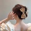 Women's Retro Bow Grip Clip Ponytail Braid Elegant Hair Clip Mesh Hair Claw Clip Fashion Hair Card Hair Accessories