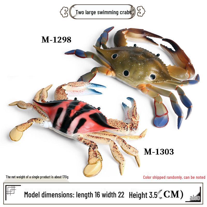Игровой набор «Симуляция морского краба»: Включает пластиковые модели Отшельника, Пловца и Трехточечного