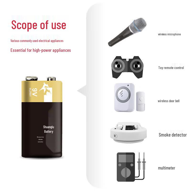 Shuanglu 6LR61 9V Alkaline Battery CN plug (adapter included)