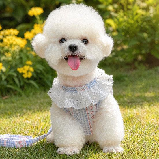 jijijing 1 Set Dog Harness And Leash, Floral with Lace Trim, Breathable Stylish Leash for Small Dogs