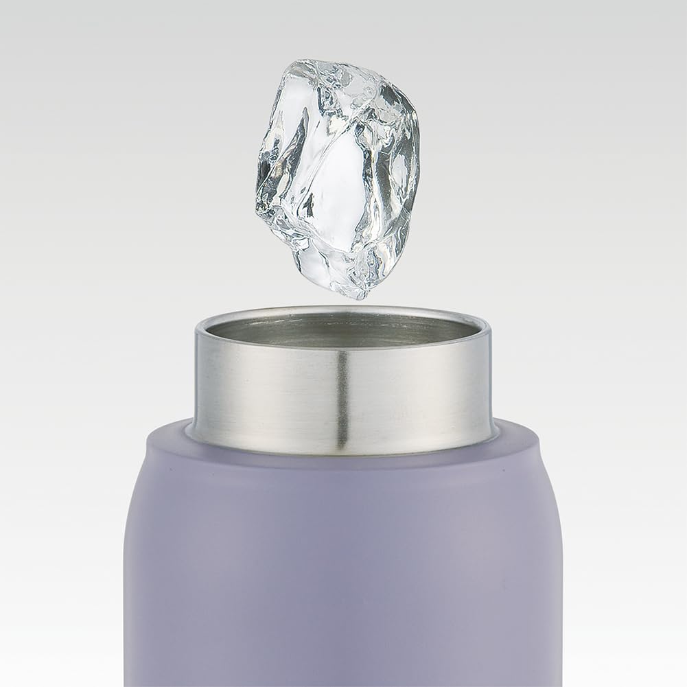 Skater Бутылка вакуумная из нержавеющей стали для газированных напитков, 500 мл, для питья непосредственно, только для холодных напитков, Disney Микки и друзья, сероватая, детская