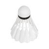 Feather Badminton Shuttlecocks, Goose Feathers, Class 2/3, Tube, 6 Pcs, Rebel