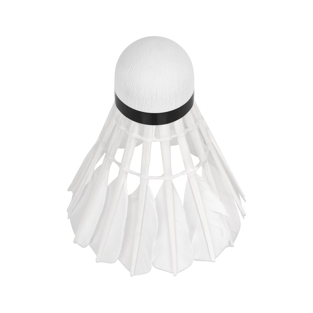 Feather Badminton Shuttlecocks, Goose Feathers, Class 2/3, Tube, 6 Pcs, Rebel