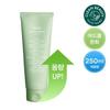 Пена для умывания Aviv Acne Foam Cleanser Houttuynia cordata большая емкость 250 мл