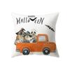 Pumpkin Collection Halloween Theme Pillow Cover Sofa Cushion  Holiday Gift Party Decoration Home Decor