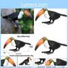 Wild Animal Big Billed Bird Ramphastos Toco Model For Kids Educational Gift And Display