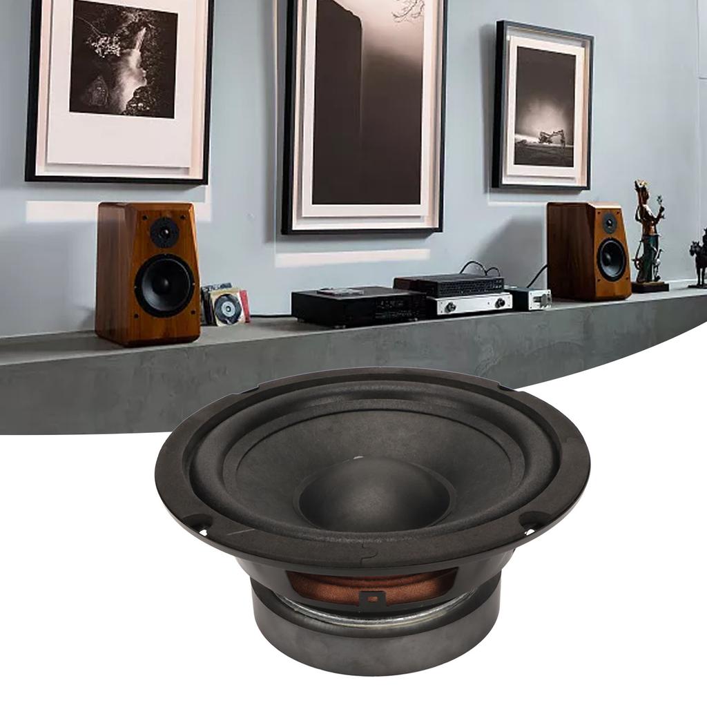 6,5-дюймовый широкополосный громкоговоритель Железо 40 Вт 8 Ом Низкочастотный динамик Высокочастотный динамик Полночастотный динамик для динамиков DI