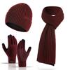 Thickened Beanies Scarf Gloves Set Fleece-lined Touchscreen Gloves 3 In 1 Set  for Women & Men
