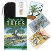 Kancharo Oracle Cards 32 Tarot Cards of the Japanese Oracle Cards Basic Instructions Pouch Included [Oracle Trees] & (Genuine)