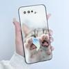Чехол для Asus Rog Phone 5 Rog 5s ZS673KS ZS676KS Чехол Роскошный Дракон Милый Крутой Для Мальчиков Девочек Мягкий Черный Матовый Силиконовый Задний Чехол