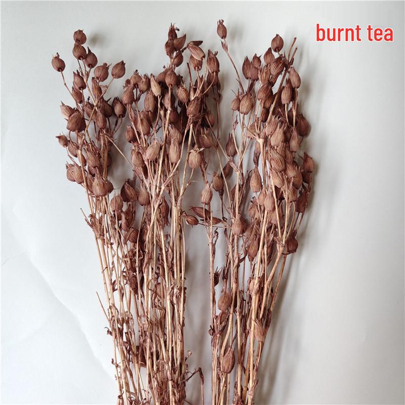 Flytrap Dried Flowers for Weddings & Home Décor - DIY Flower Arrangement with Real Flowers & Fruit