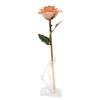 Gold Dipped Rose 24K Gold Plated Dipped Rose with Stand for Valentine " S Day and Anniversary Pink
