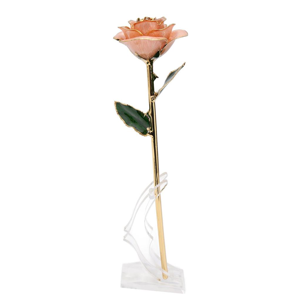 Gold Dipped Rose 24K Gold Plated Dipped Rose with Stand for Valentine " S Day and Anniversary Pink