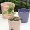 Кашпо для суккулентов Воздухопроницаемый цветочный горшок Съемное дно Абсорбирующий цветочный горшок Новый цветочный горшок